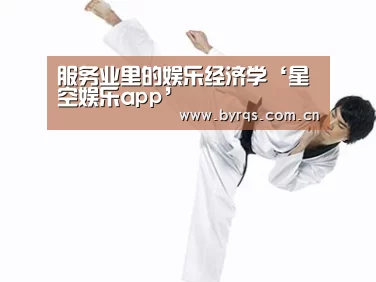 服务业里的娱乐经济学‘星空娱乐app’
