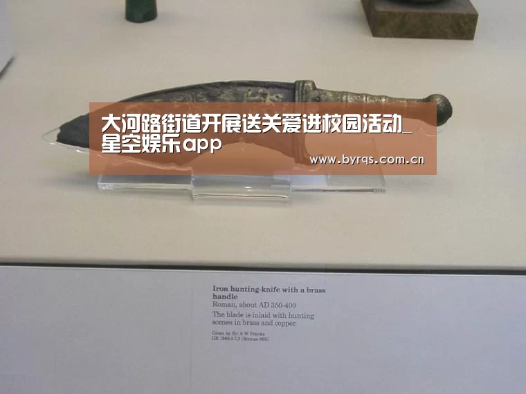 大河路街道开展送关爱进校园活动_星空娱乐app