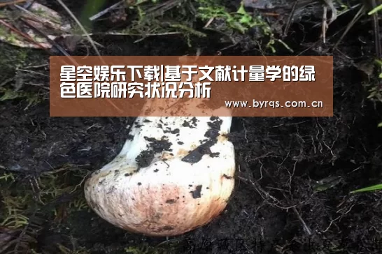 星空娱乐下载|基于文献计量学的绿色医院研究状况分析