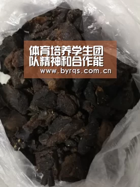 体育培养学生团队精神和合作能力研究“星空娱乐下载”