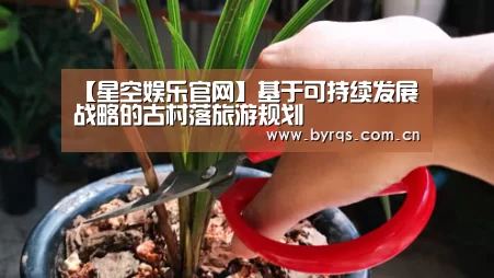 【星空娱乐官网】基于可持续发展战略的古村落旅游规划